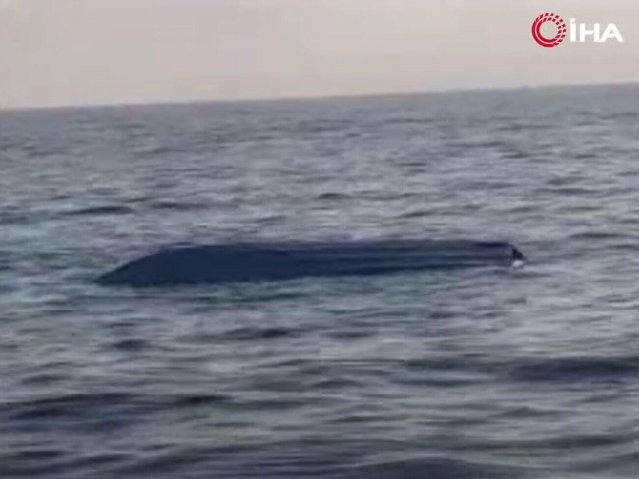 Предварительно, БПЛА той же модели, что и аппарат, обнаруженный на прошлой неделе возле Трабзона