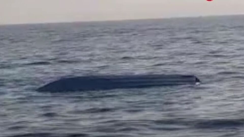 Предварительно, БПЛА той же модели, что и аппарат, обнаруженный на прошлой неделе возле Трабзона