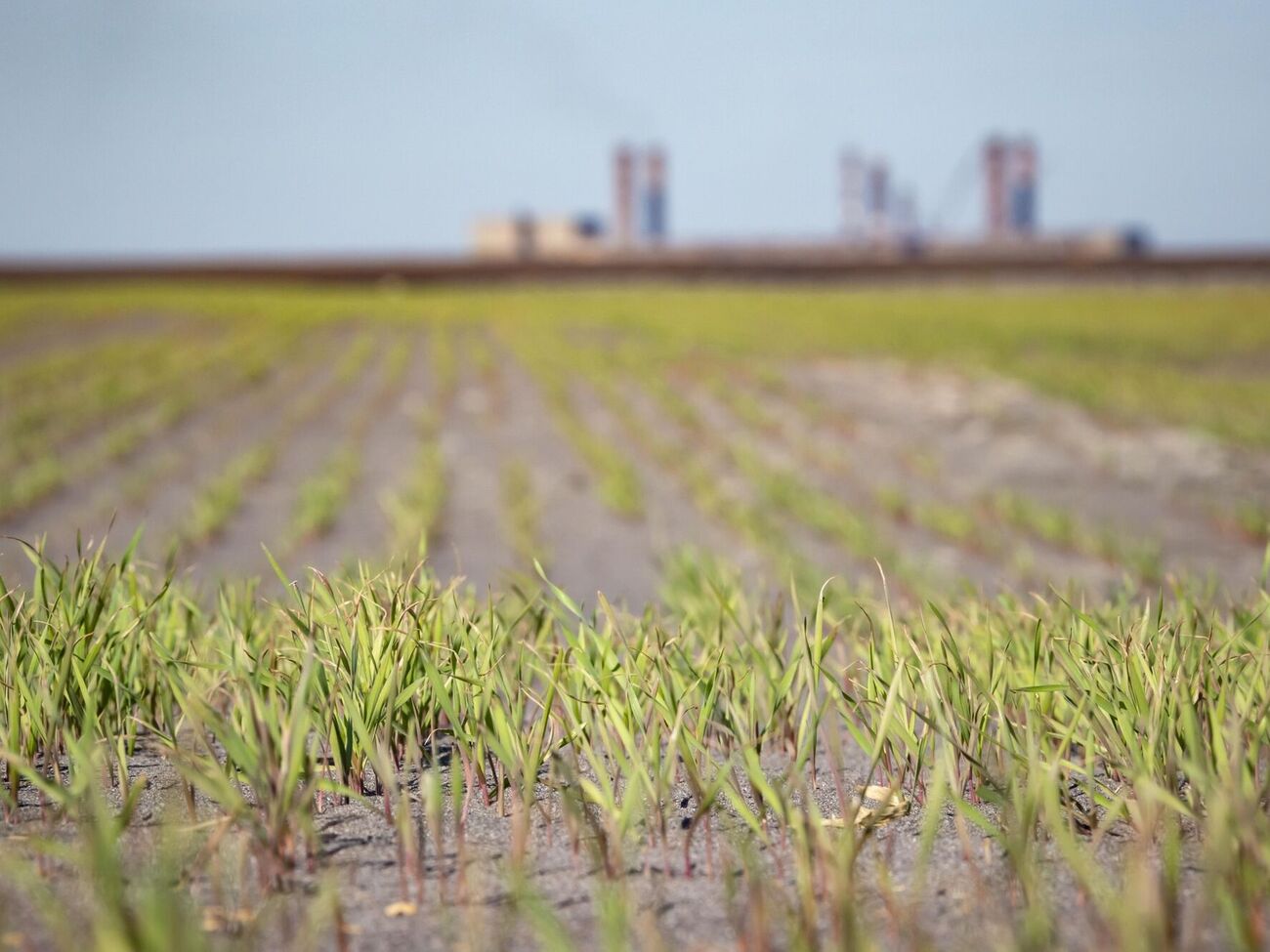 Скорбун: Маємо величезні запаси залізорудної сировини, яких практично немає в Європі