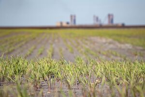 Скорбун: У нас есть огромные запасы железорудного сырья, которых практически нет в Европе