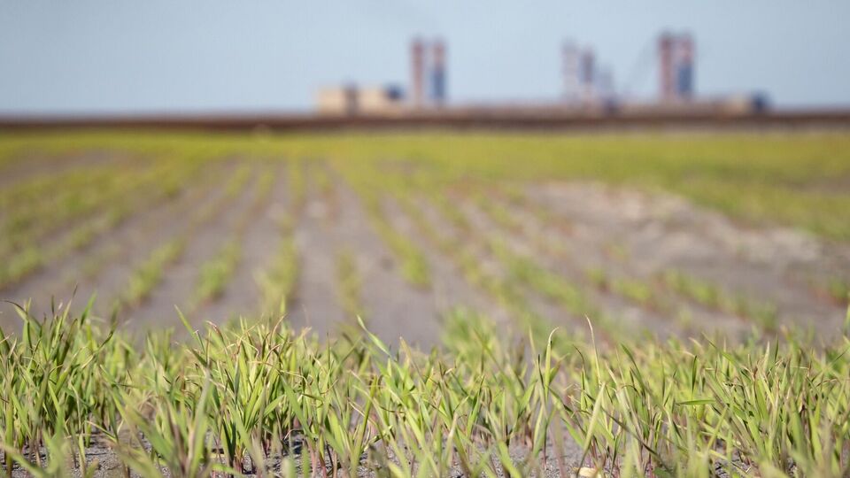 Скорбун: У нас есть огромные запасы железорудного сырья, которых практически нет в Европе