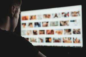 Фактически государство платит тысячи гривен за просмотр порно под грифом "борьбы за нравственность", отмечает издание