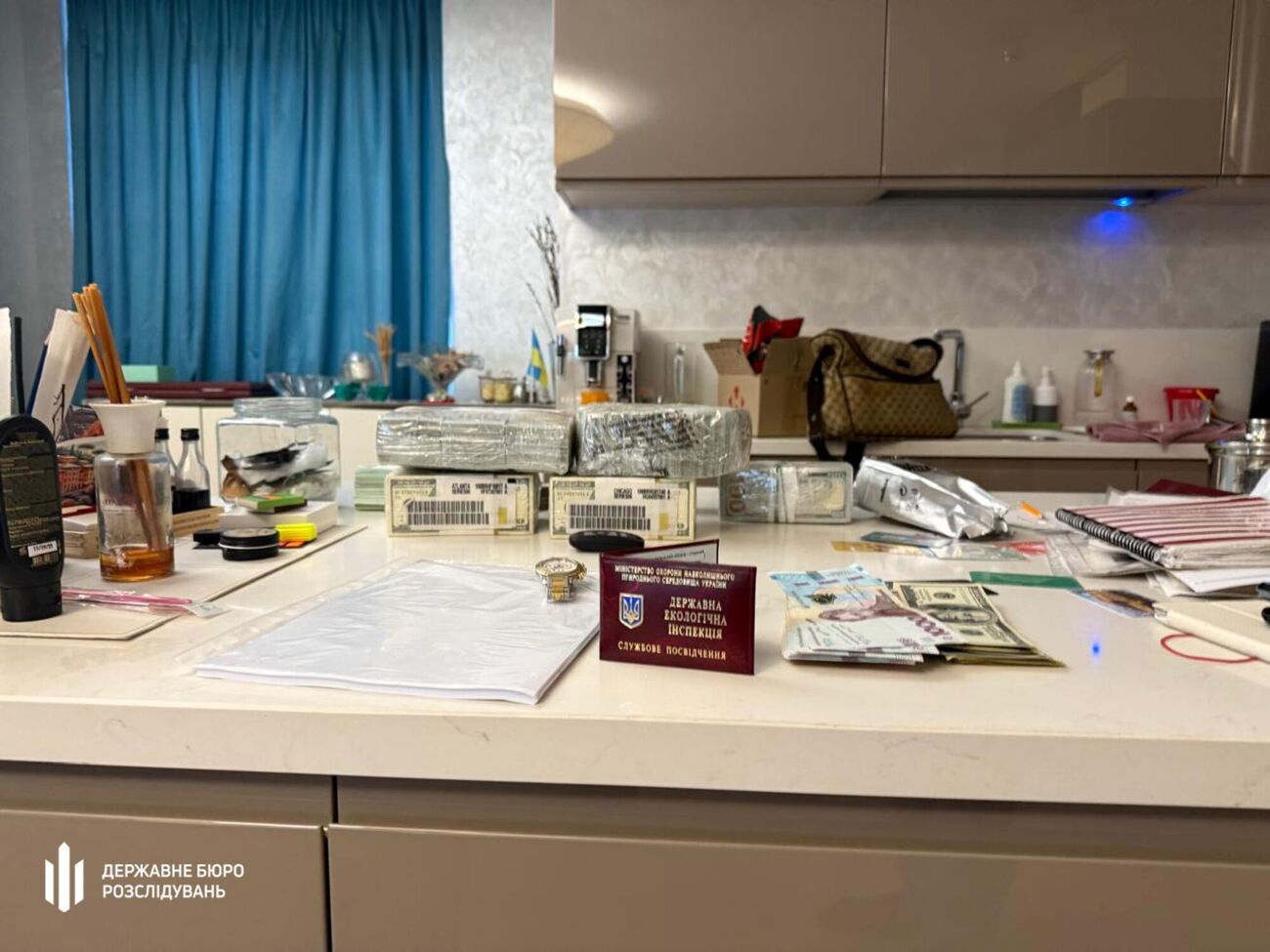Правоохронці вилучили в посадовиці $880 тис. і понад €200 тис. незадекларованої готівки