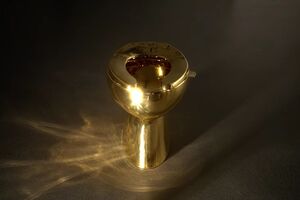 Унітазом скористалося 100 тис. людей