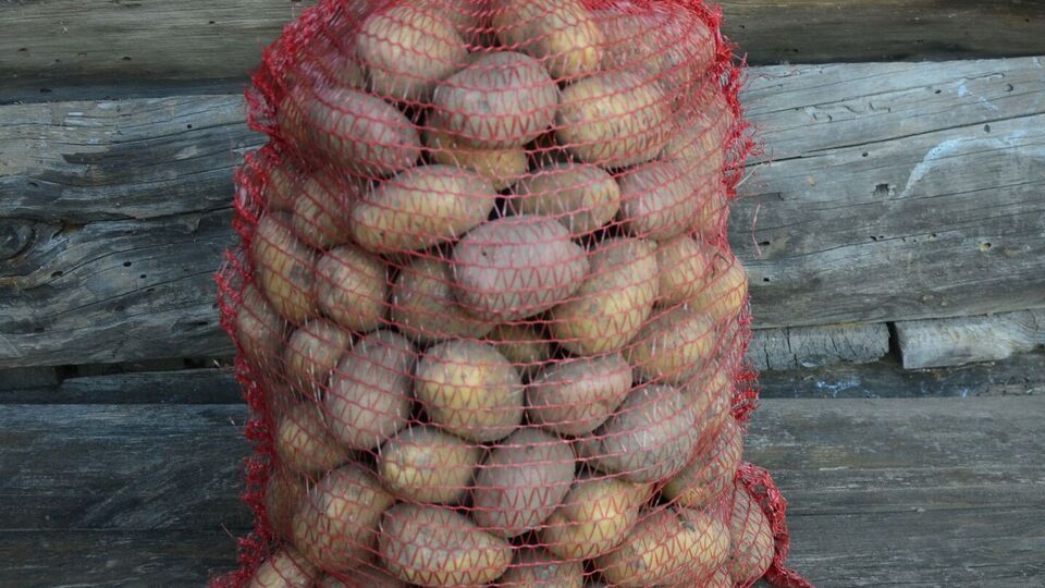 Картофель нужно хранить в сетках