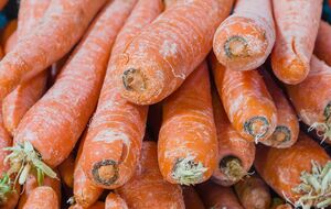 Із дрібної моркви можна зробити заготовки на зиму
