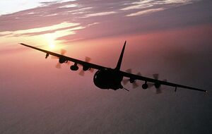 В составе ВС Турции есть 20 C-130, отметили СМИ