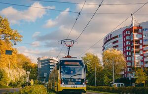 Пасажири кричали водію трамвая, щоб він не відчиняв дверей, але на зупинці вони самі відчинилися й нападники втекли