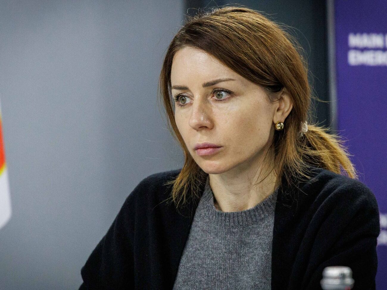 Рада рассмотрит заявление Гринчук об отставке 18 ноября, сообщил нардеп Железняк