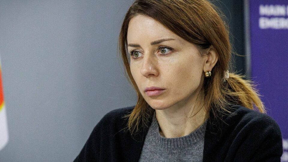 Рада розгляне заяву Гринчук про відставку 18 листопада, повідомив нардеп Железняк