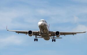 Парк авіакомпанії, в якій працював пілот, складається переважно з літаків Airbus A320 і A321