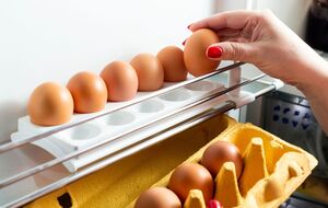 По словам эксперта, больше всего на цены куриных яиц влияет рост производственных затрат птицеводов