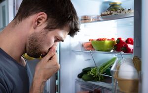 Неприємного запаху можна позбутися дуже просто