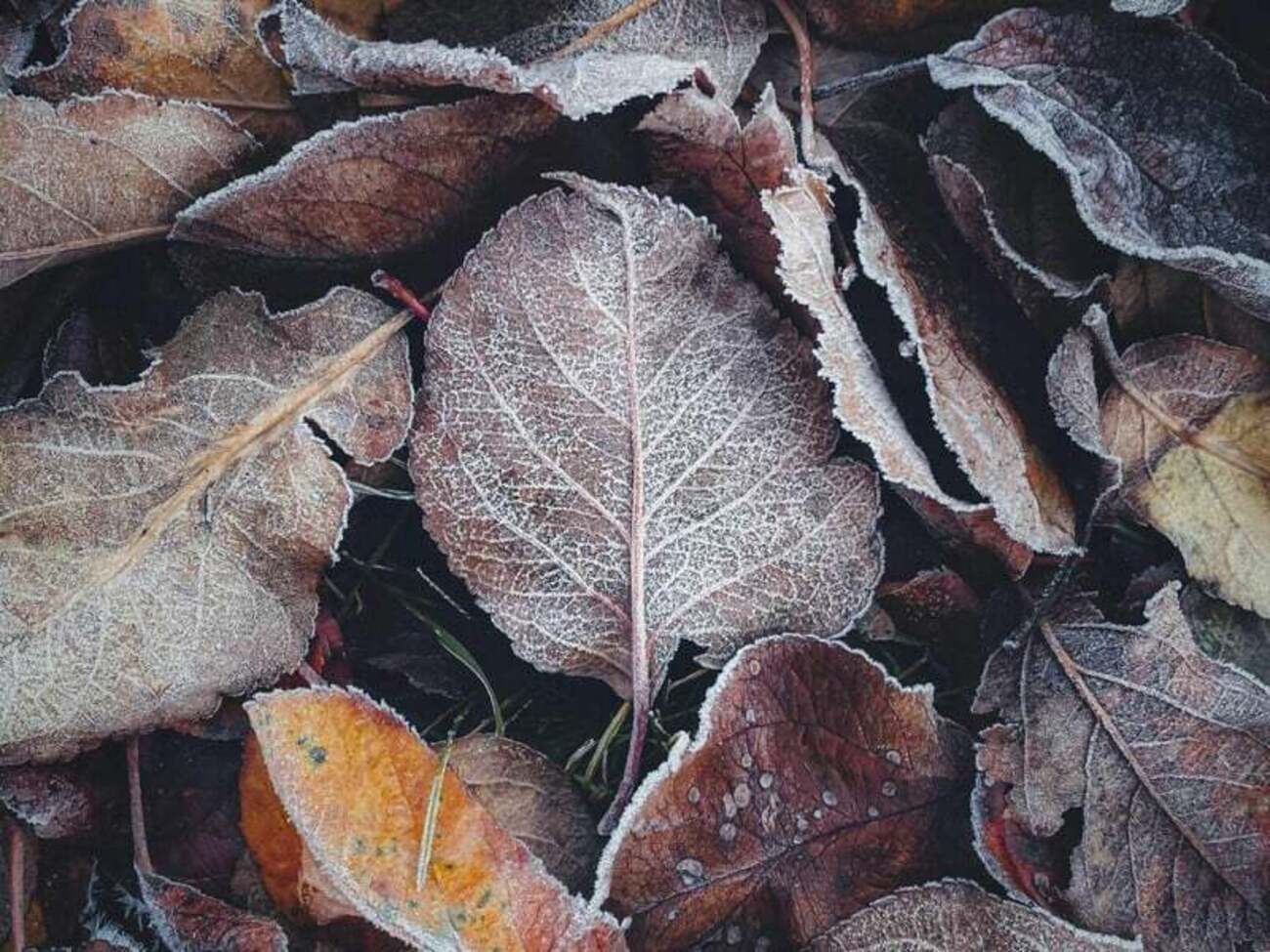 По словам синоптика, до конца недели на погоду будет влиять антициклон из Европы