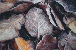 По словам синоптика, до конца недели на погоду будет влиять антициклон из Европы