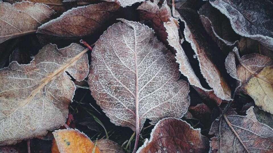 По словам синоптика, до конца недели на погоду будет влиять антициклон из Европы