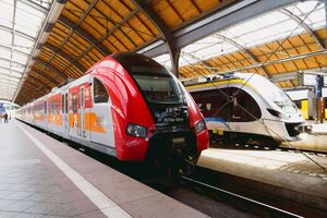 По прибытии патруля на станцию Радница агрессивную пассажирку передали полиции