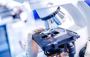 В Африке уже зафиксировано более 7 тыс. смертей от холеры