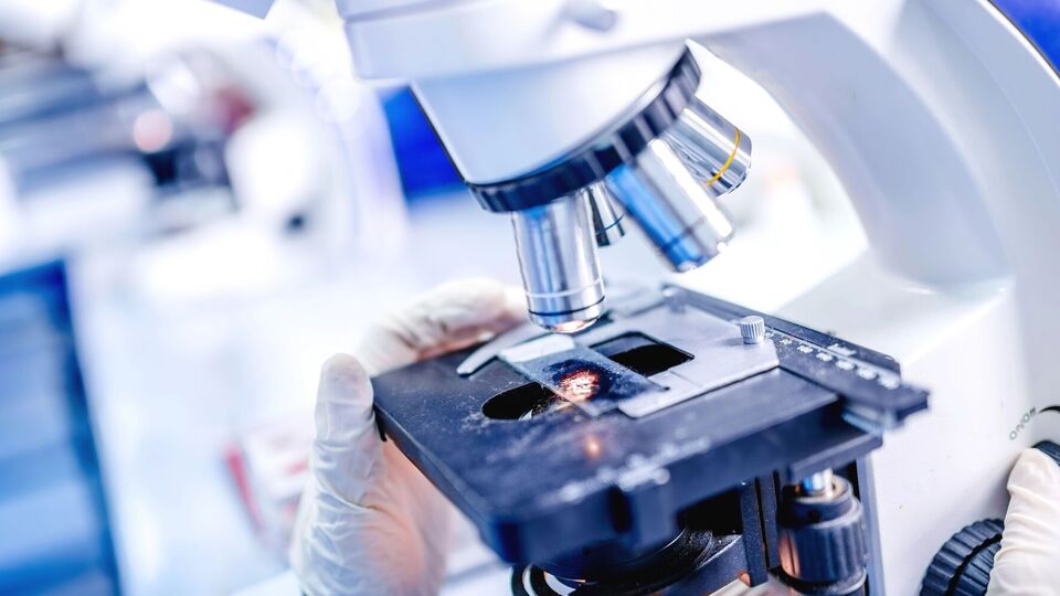 В Африке уже зафиксировано более 7 тыс. смертей от холеры