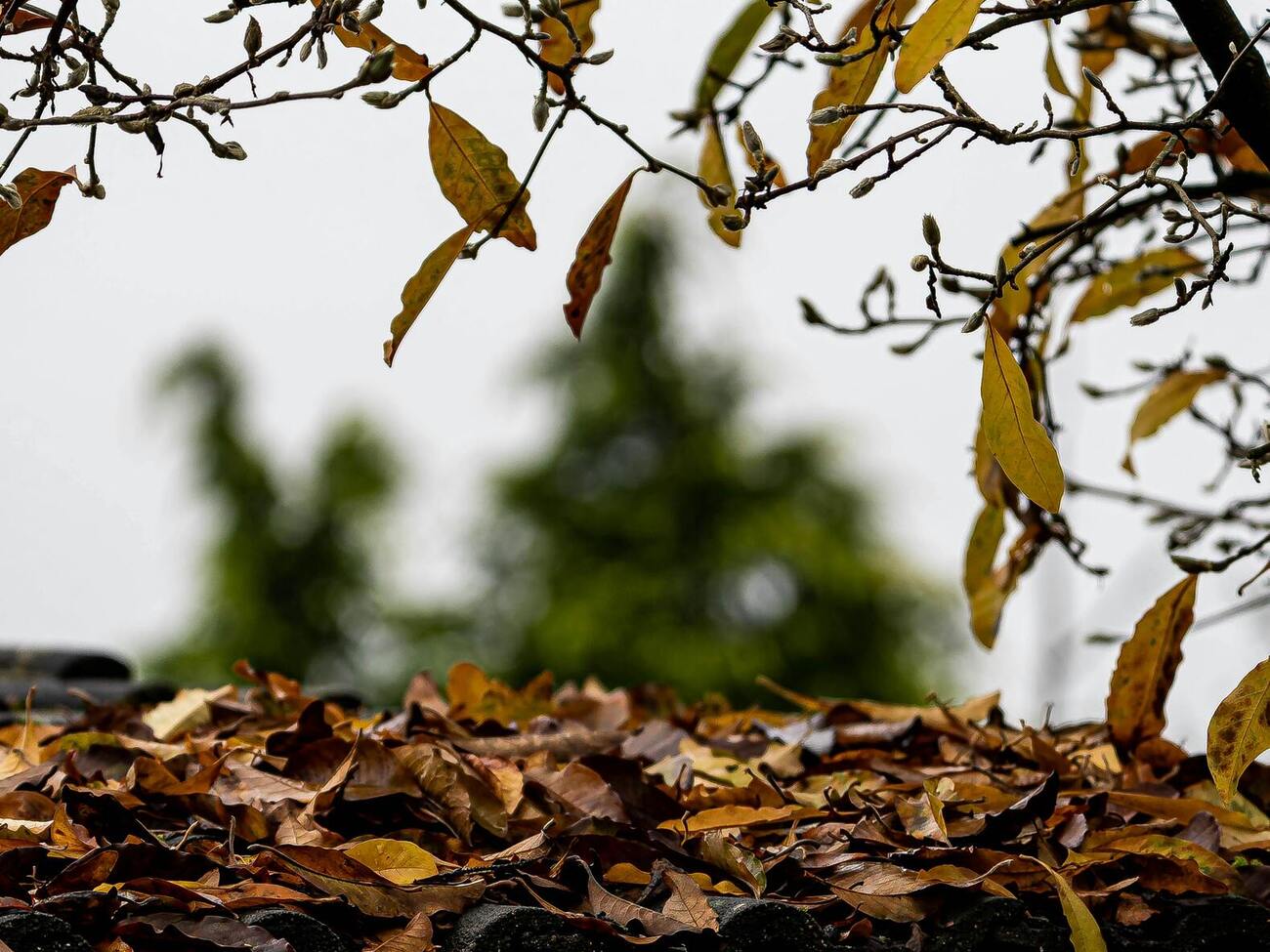 В субботу в Украину придет атмосферный фронт, который принесет небольшие дожди