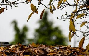 В субботу в Украину придет атмосферный фронт, который принесет небольшие дожди