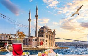 Семья в Стамбуле отведала местные деликатесы: фаршированные мидии, кумпир и кокореч