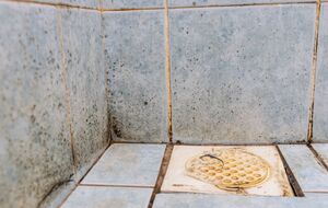 Чтобы плесень не распространялась, в ванной комнате должно быть сухо и чисто