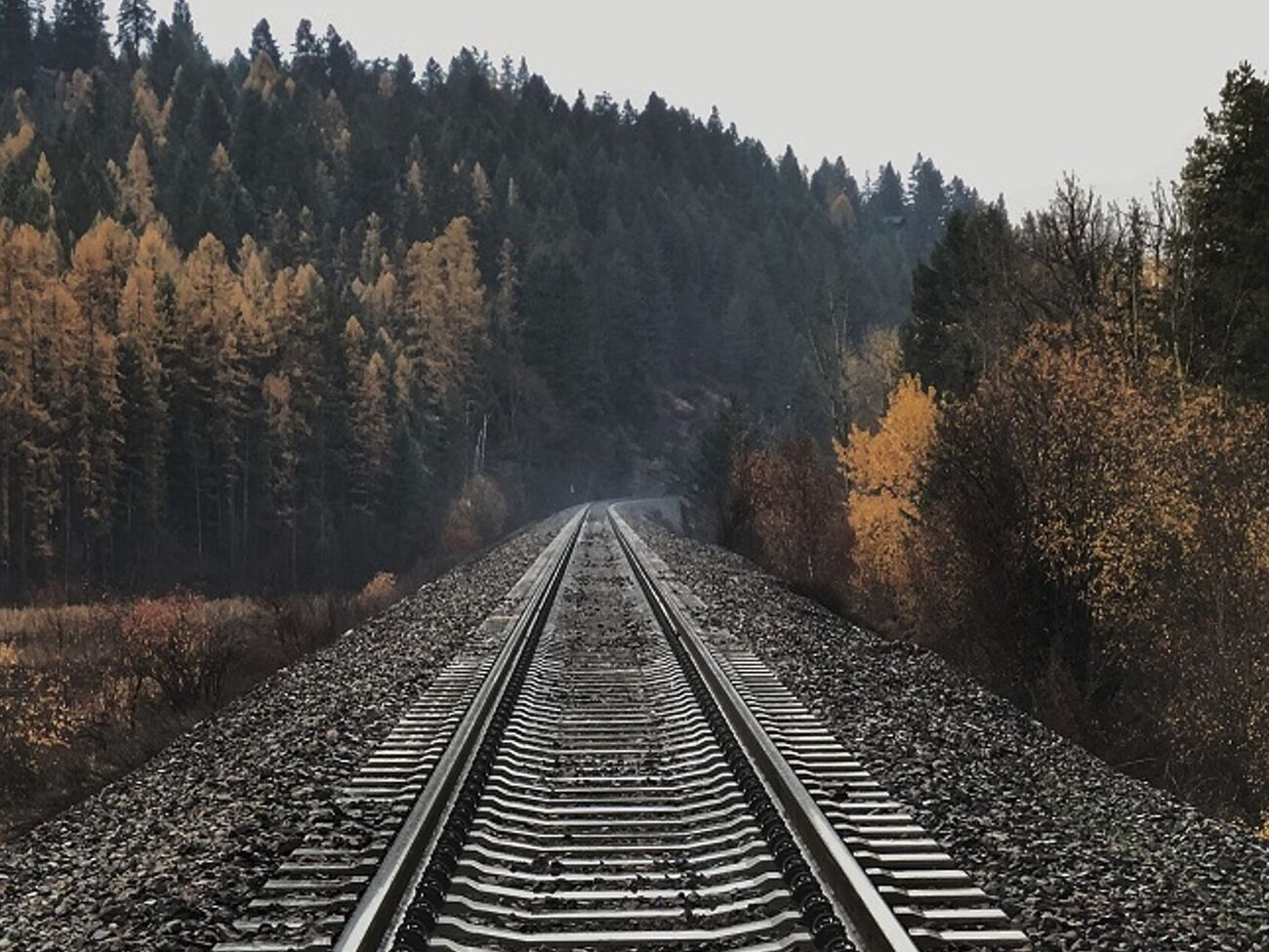 Движение грузов по Транссибирской магистрали из-за диверсии было заблокировано, отметили в ГУР МО