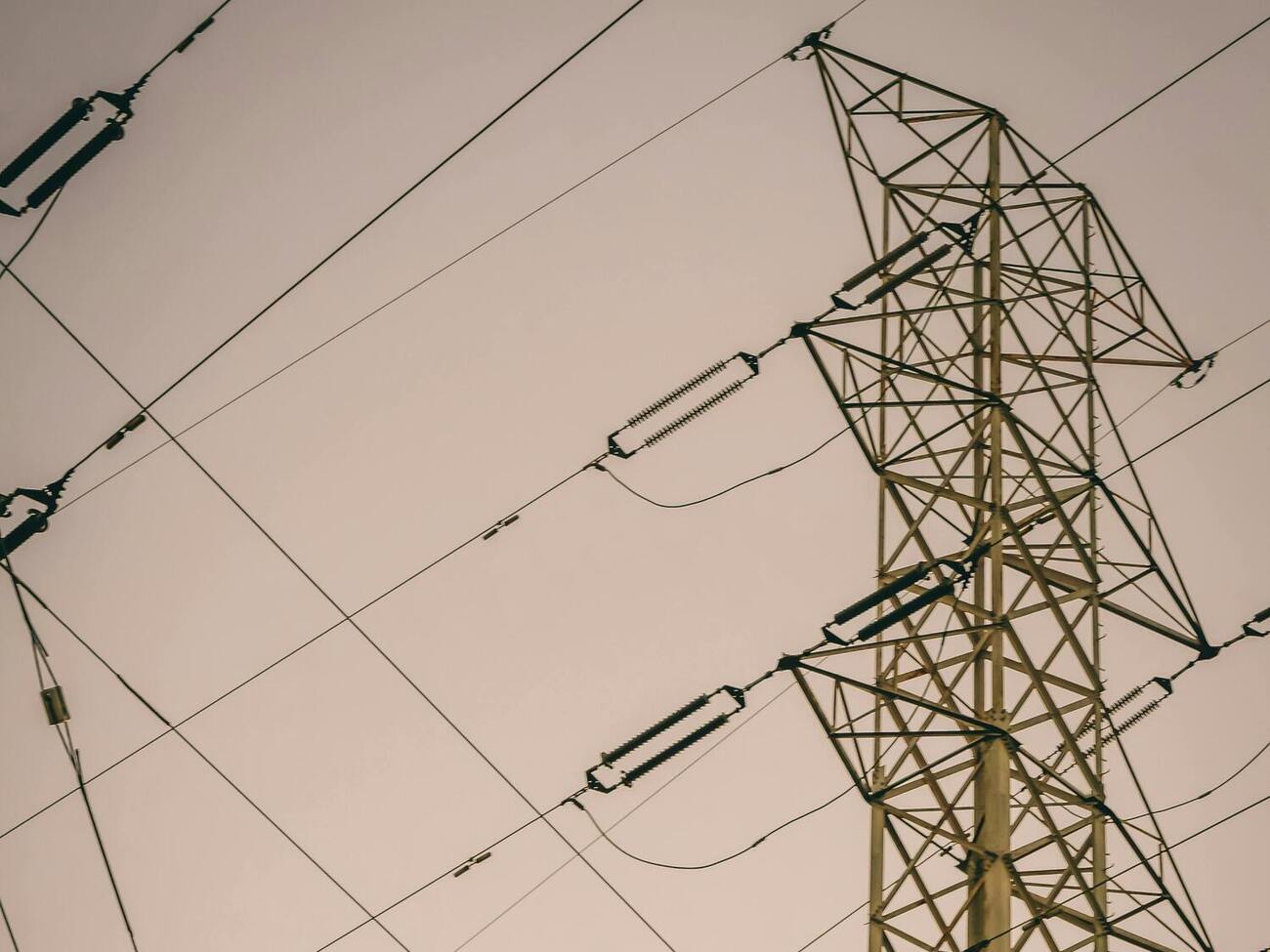 Нардепы Герус и Жупанин могли попасть в список основных кандидатов 14 ноября, сообщили источники