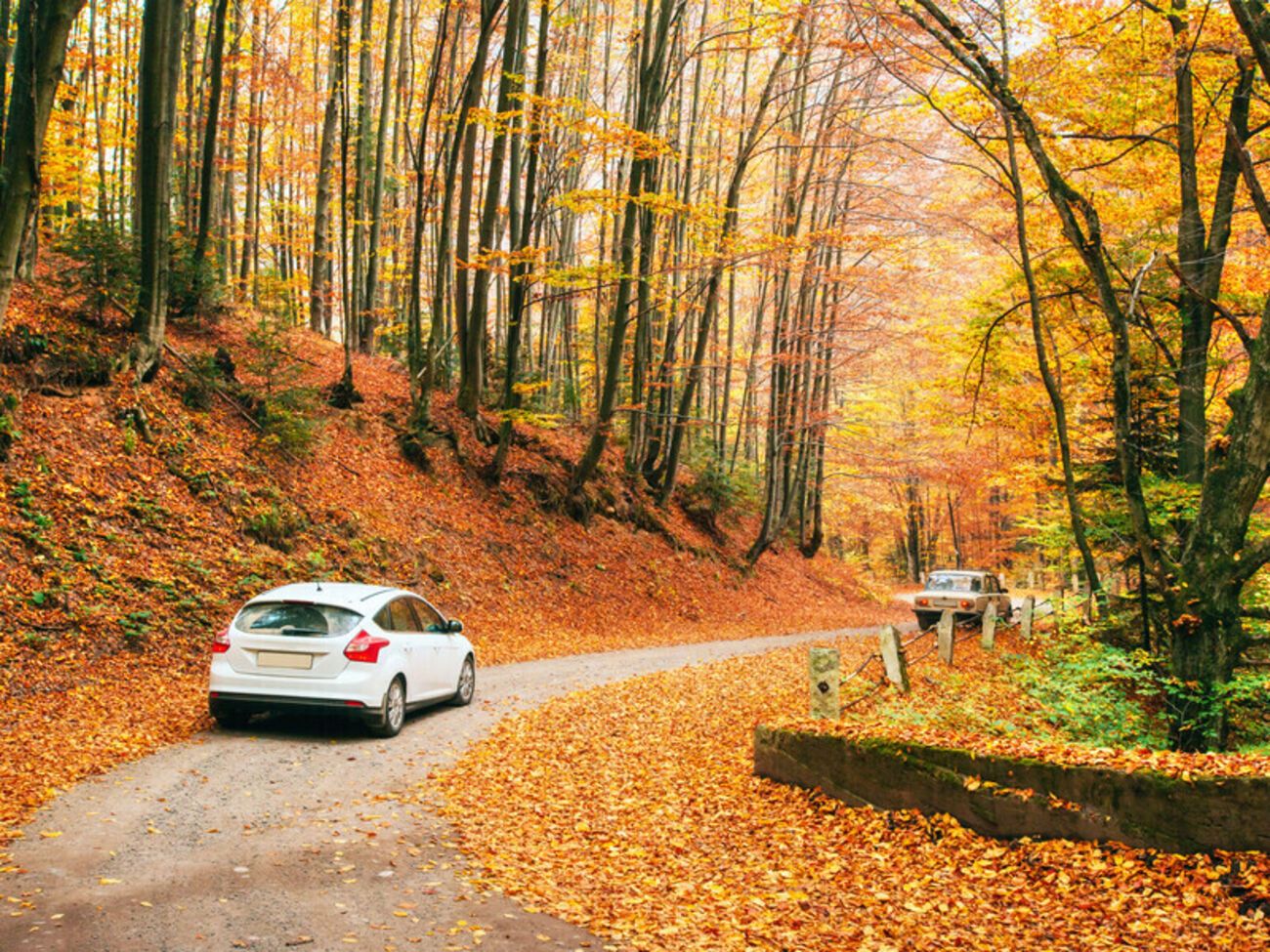 17 ноября температура воздуха в течение дня поднимется до +10...+15 °C