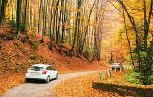 17 листопада 2025 року температура повітря протягом дня підвищиться до +10...+15 °C