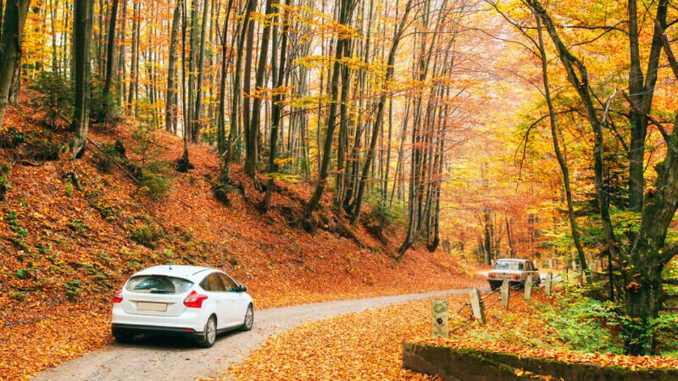 17 ноября температура воздуха в течение дня поднимется до +10...+15 °C