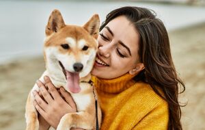 Собака имеет определенные потребности