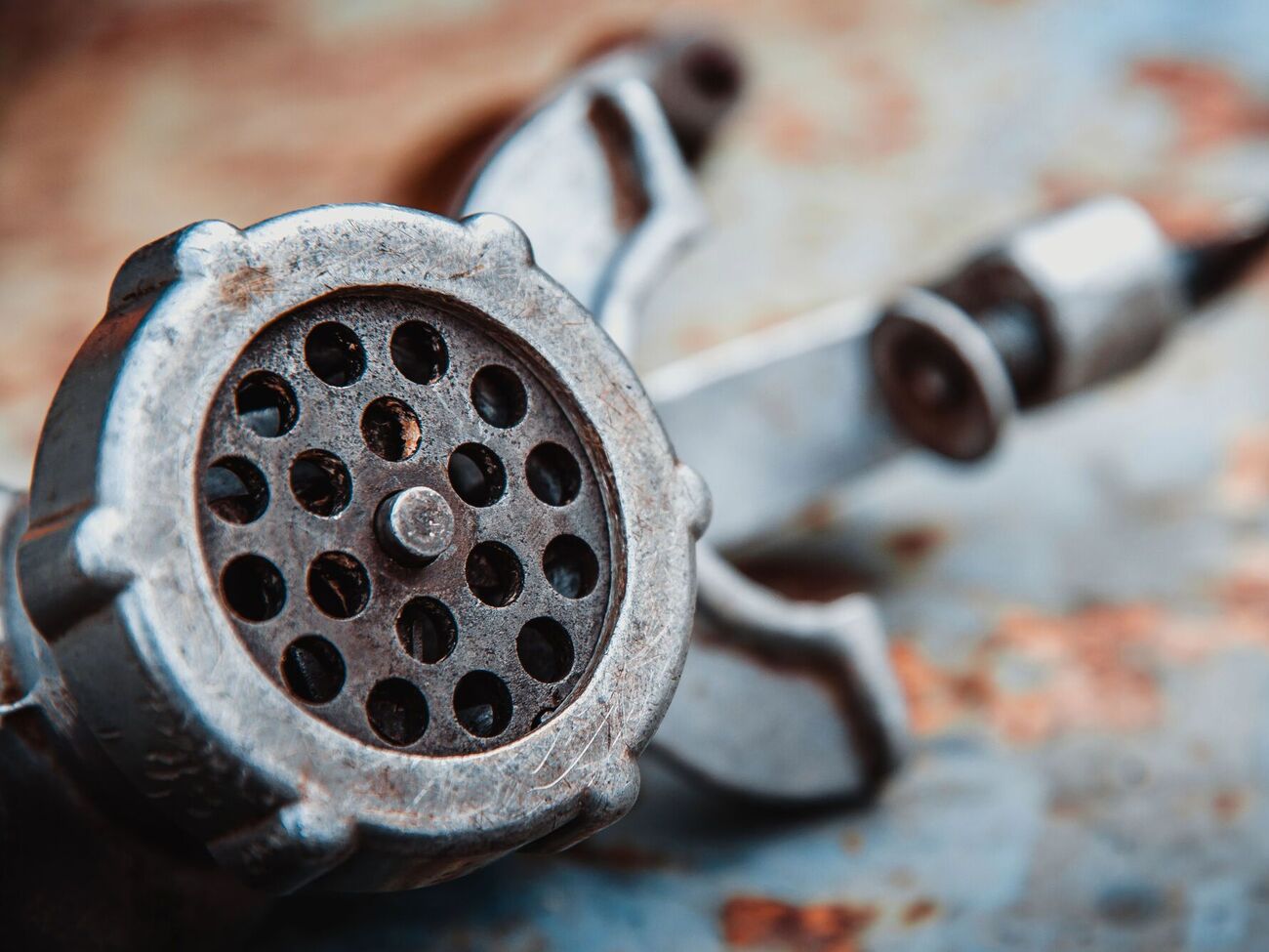 Останки Тарховых, которые пропустили через мясорубку, так и не были обнаружены