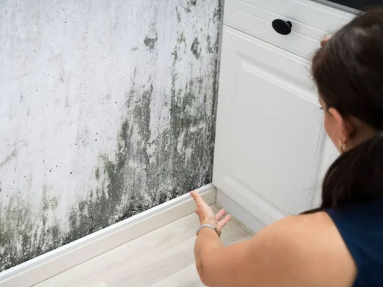 Для приготовления смеси понадобится уксус, сухой чеснок и гвоздика