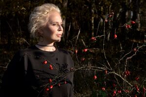 Монова: Окрім ідеологічної складової гри, існують ще мільйони у валюті на ЗСУ, які передала команда GSC Game World