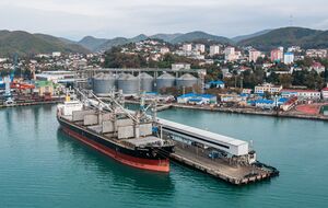 Дрони вдарили по важливому порту РФ у Краснодарському краї