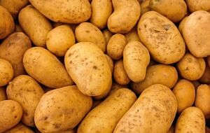 Картопля збереже свіжий вигляд
