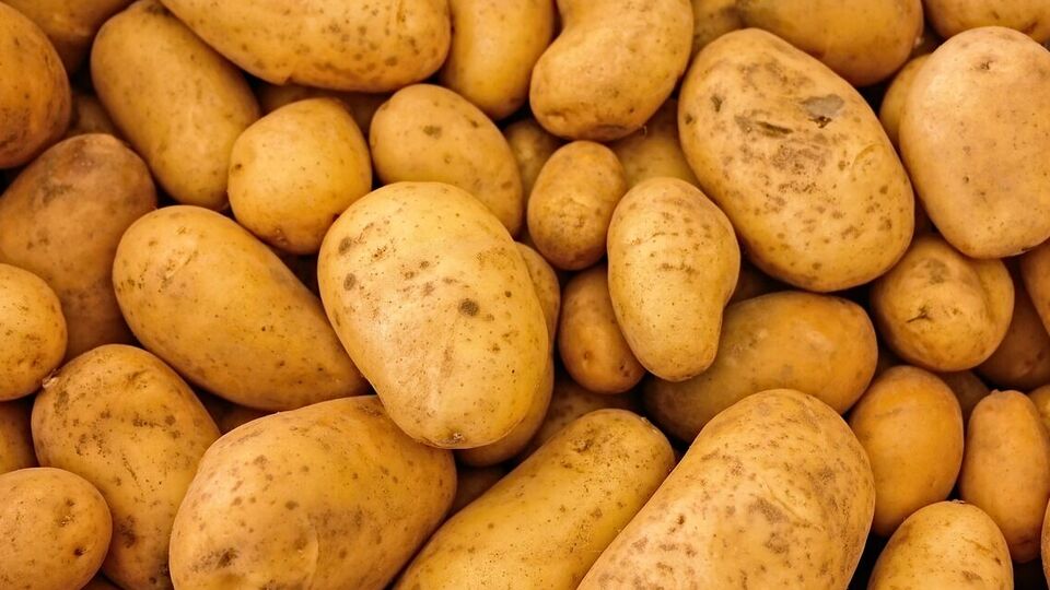 Картофель сохранит свежий вид