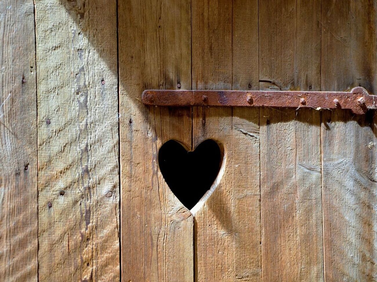 Без доступа к туалету живут 3,4 млрд человек, пишут в ООН