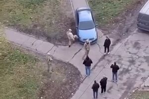 Інцидент потрапив на відео