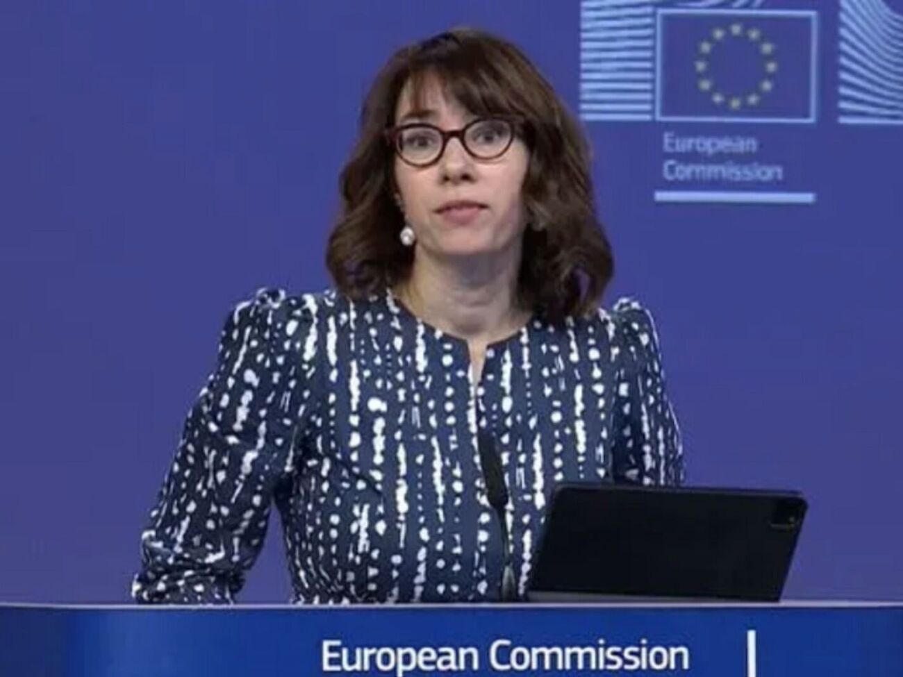 Пресс-секретарь ЕК кратко ответила, что у нее нет информации об альтернативном мирном плане ЕС