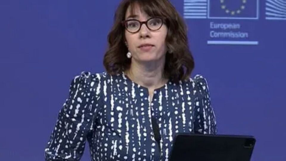 Пресс-секретарь ЕК кратко ответила, что у нее нет информации об альтернативном мирном плане ЕС