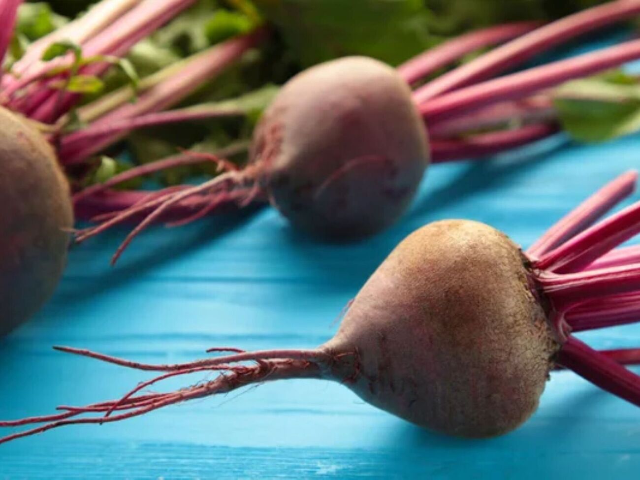 Свеклу нужно хранить только в темном помещении