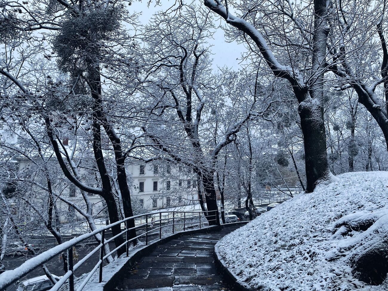 Аварійні бригади "Львівобленерго" працюють над відновленням