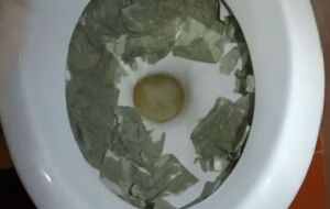 Для предлагаемого метода понадобятся уксус и лимонная кислота