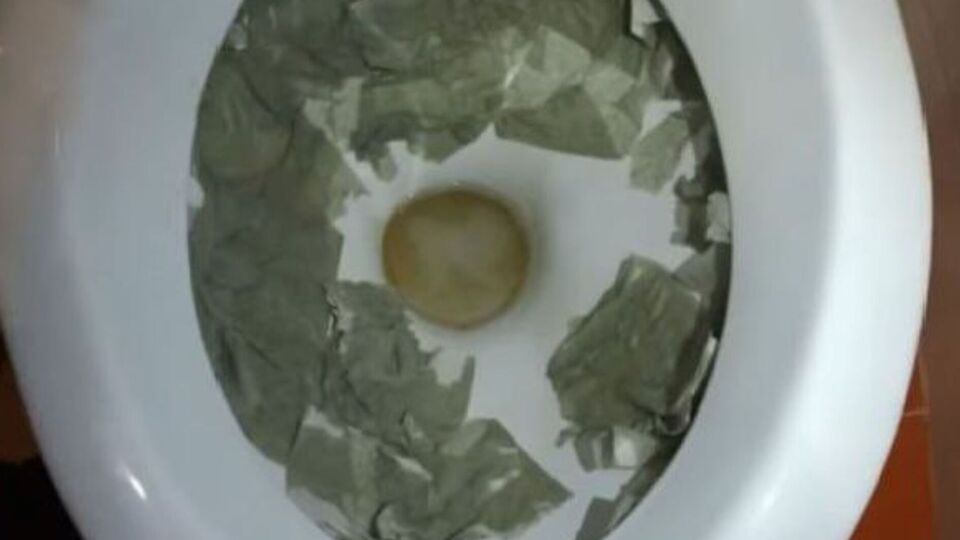 Для пропонованого методу знадобляться оцет і лимонна кислота