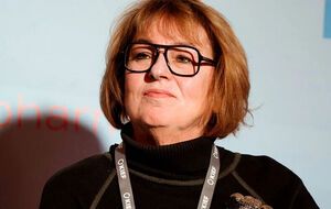 Статистика в Україні "призупинена" із 2018 року, каже Лібанова