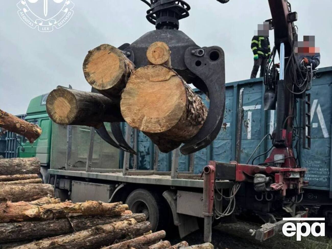 По результатам осмотра девяти вагонов обнаружено свыше 2 тыс. бревен сосны стоимостью более 1 млн грн, сообщили в ОГП