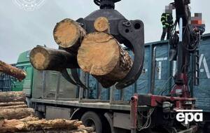 По результатам осмотра девяти вагонов обнаружено свыше 2 тыс. бревен сосны стоимостью более 1 млн грн, сообщили в ОГП